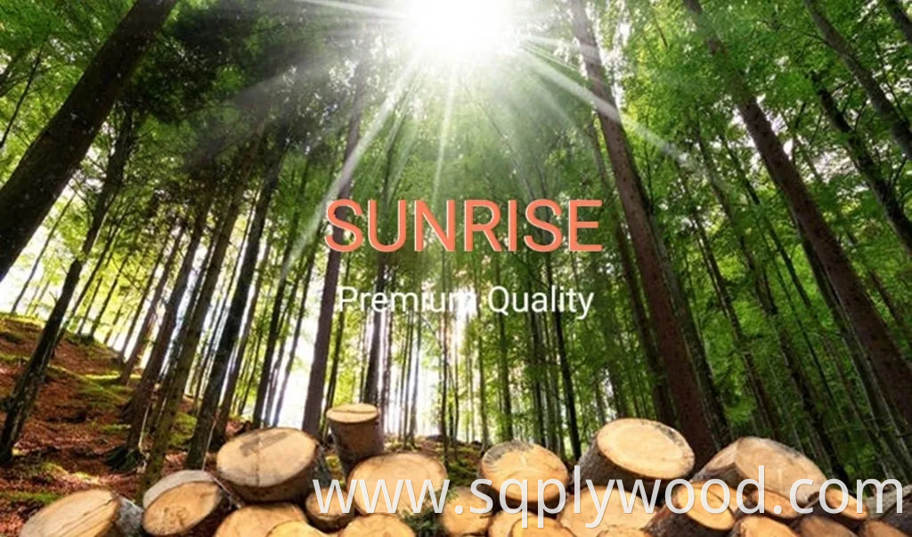 4 8 FT Melamine Face 7 5 Slot MDF Board Store Wall Decoration Slatwall Display MDF